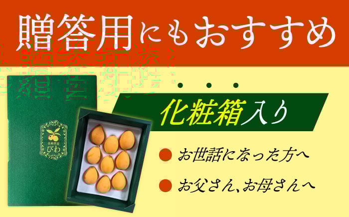 びわ 9粒 Lサイズ