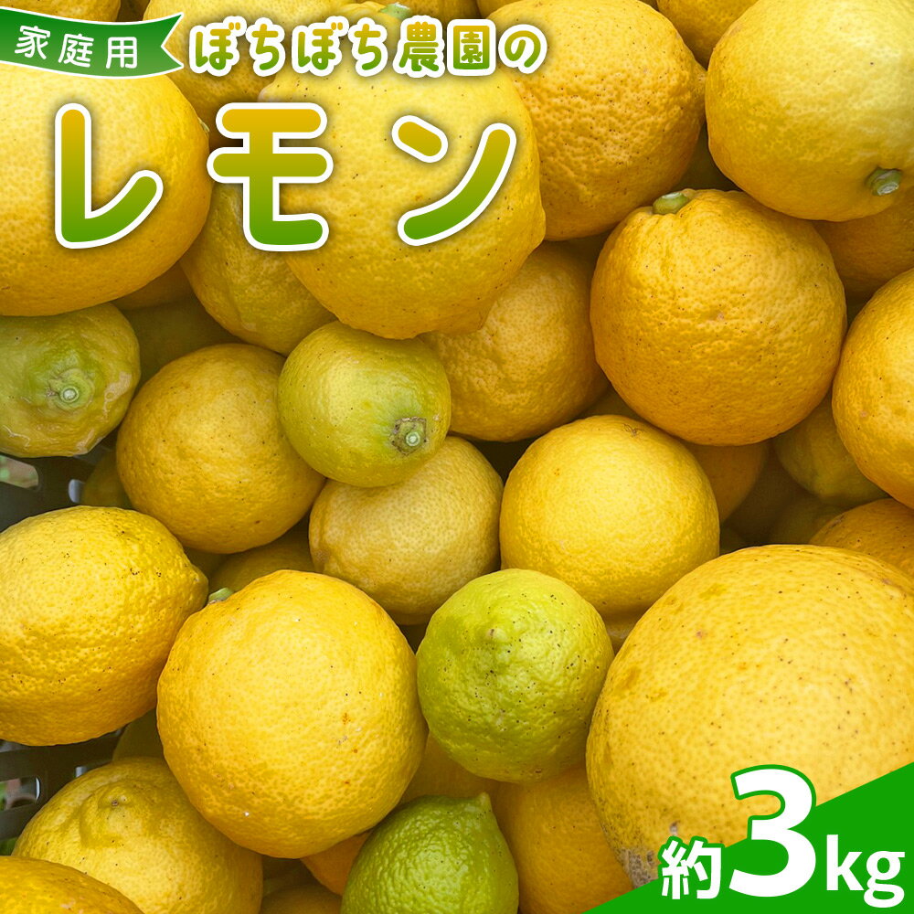 【ふるさと納税】＜ぼちぼち農園のレモン 家庭用 約3kg＞ 3キロ レモン れもん 檸檬 訳あり わけあり ワケアリ ご自宅用 ご家庭用 果物 柑橘 フルーツ アレンジ 料理 国産 国産レモン 愛媛県産 特産品 ぼちぼち農園 愛媛県 西予市【常温】『2026年1月～2月迄に順次出荷予定』