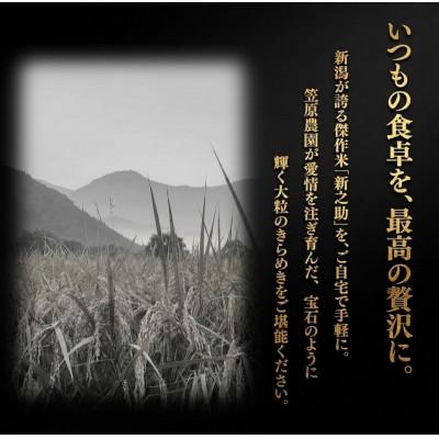 ふるさと納税 南魚沼市 令和7年産　南魚沼産　笠原農園米　新之助　精米　2kg |  | 01