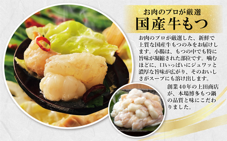W08-25 上田商店 博多もつ鍋セット(醤油味 3人前) 国産牛 モツ鍋 ミックスホルモン コラーゲン 冷凍 大容量 博多 福岡グルメ グルメ 鍋 鍋セット モツ鍋 福智町【YUKP】【fukuch