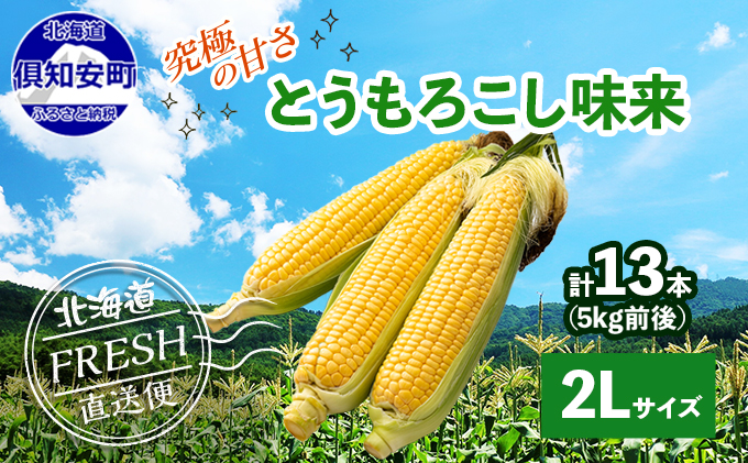 北海道 倶知安町 とうもろこし 味来 みらい 北海道 5kg 2Lサイズ 大きめ 夏野菜 とうきび 旬 新鮮 野菜 トウモロコシ ギフト  産地直送 産直 お取り寄せ 詰め合わせ 送料無料