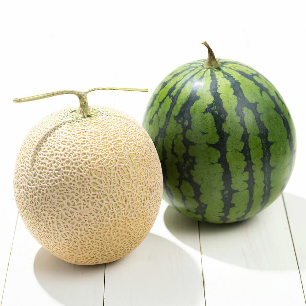 【ふるさと納税】＜選べる内容量＞熊本県産 小玉スイカ&肥後グリーンメロン 食べ比べ セット 計約3.5kg（計2玉（各1玉））・約7kg（計4玉（各2玉）） めろん すいか くだもの 果物 果実 フルーツ 国産 九州 熊本県 熊本市 送料無料 【2025年7月下旬迄発送予定】