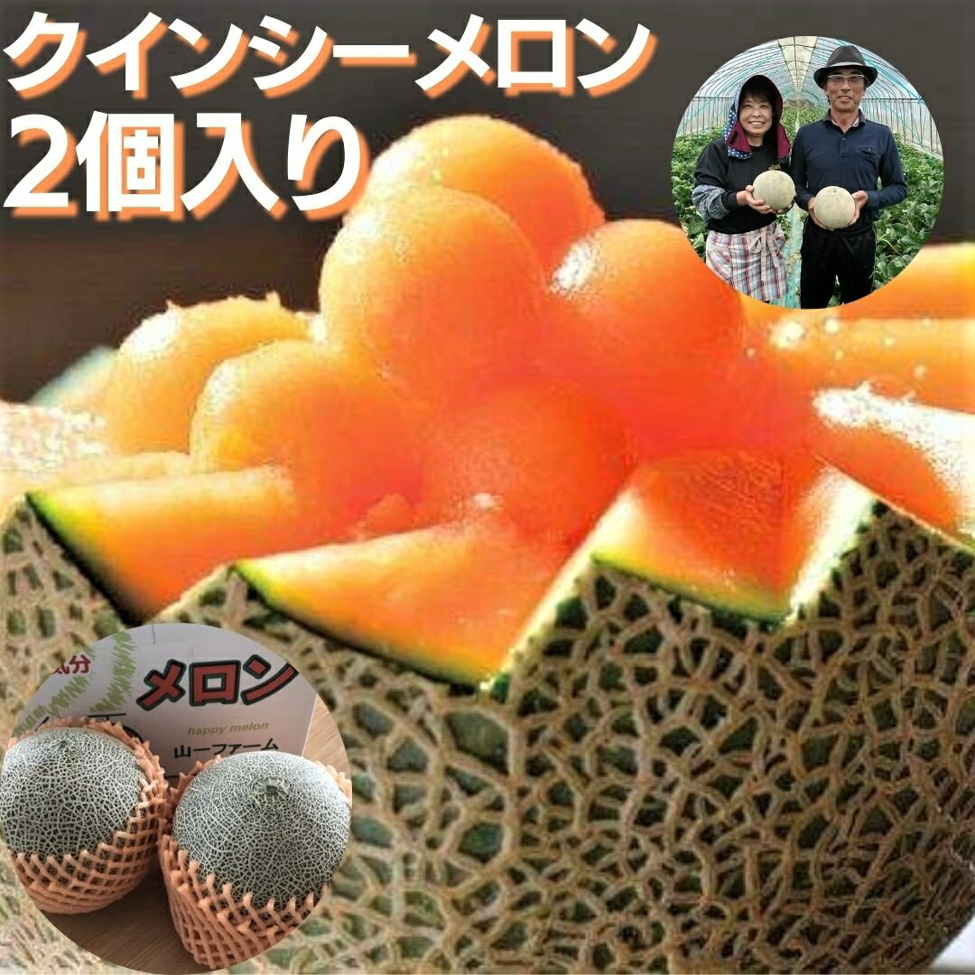 【ふるさと納税】メロン めろん 生産量日本一 クインシーメロン 2個 山一ファーム おすすめ 人気 国産 赤 茨城 鉾田 フルーツ 旬 プレゼント 贈り物 甘い ヘルシースイーツ 産地直送 農業王国 赤肉 5月～6月発送 送料無料