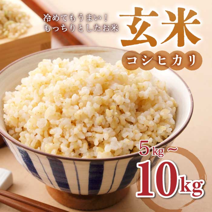 【ふるさと納税】玄米【冷めても美味しいコシヒカリ】｜最短4〜7日程度でお届け　※着日指定不可【小田農園】不可