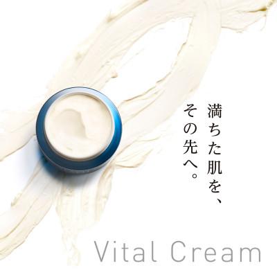 ふるさと納税 袋井市 アラヴィータ　ヴァイタルクリーム(クリーム) |  | 01