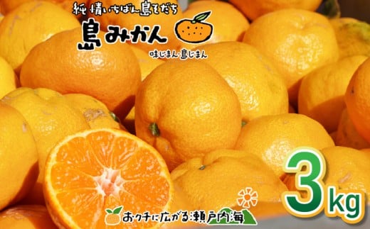 【11月下旬頃から発送予定】温州みかん 3kg  愛媛 中島産 希望の島  家庭用 みかん 柑橘