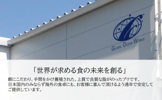 B2-4779／【鹿児島産ぶり】冷蔵・ぶり皮無ポーション（背腹計４ｐ）