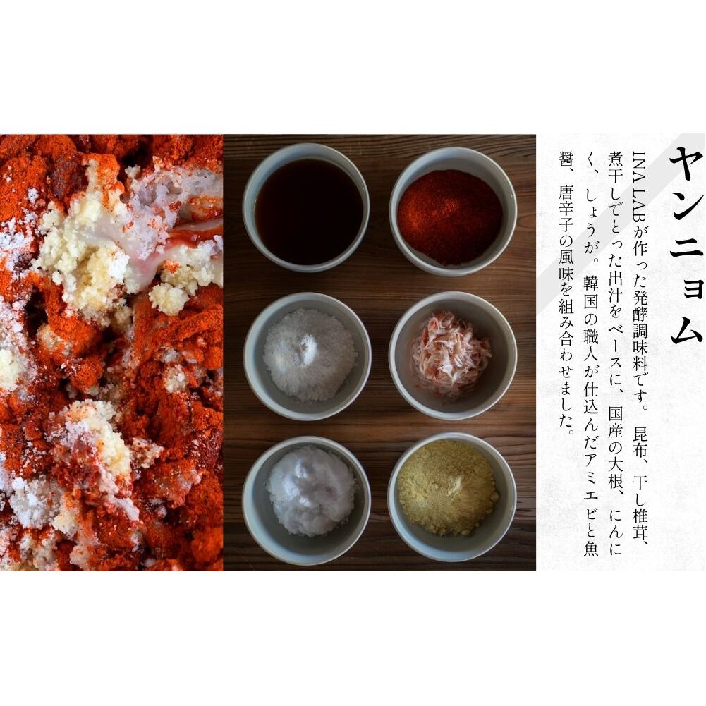 ヤンニョム500g ＆季節野菜のキムチ2種（各500g）／ ふるさと納税 キムチ ヤンニョムソース 赤キムチ 白キムチ 料理 グルメ INA Lab INA KIMCHI 取り寄せ 室生 奈良県 宇陀