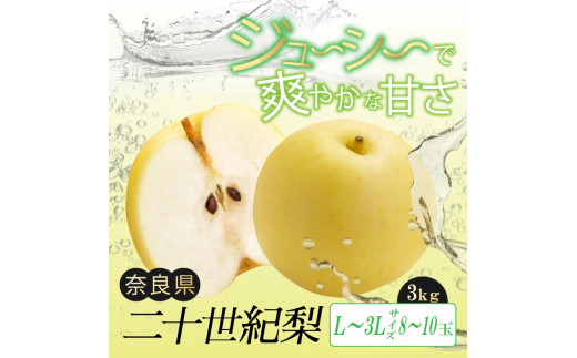 G16【先行予約】二十世紀梨 L ～ 3L サイズ 約3kg 8玉 ～ 10玉 | フルーツ 果物 くだもの 梨 なし 二十世紀 産地直送 果汁たっぷり ジューシー 減農薬栽培 真田園 奈良県 大淀町 メディアで紹介