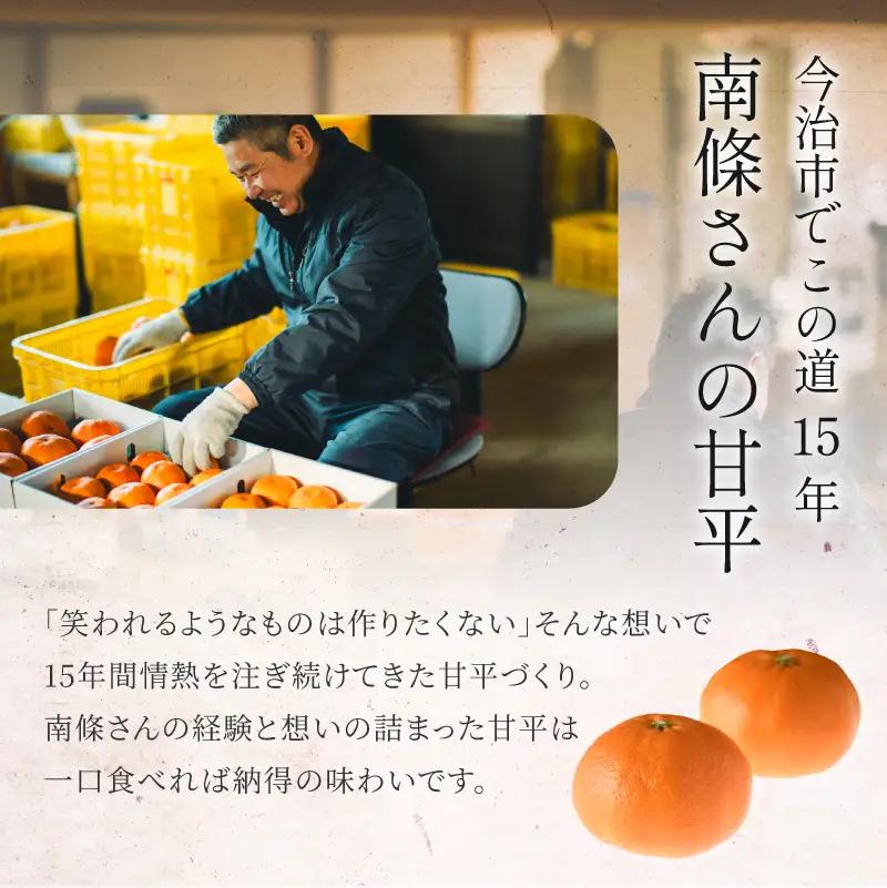 【数量限定】【先行予約】マルハ果樹園 甘平 4L～2L 8～12玉