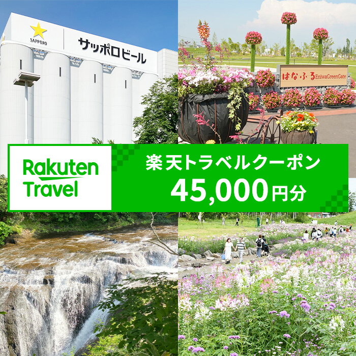 【ふるさと納税】北海道恵庭市の対象施設で使える 楽天トラベルクーポン 寄付額150,000円(クーポン45,000円)　【970015】
