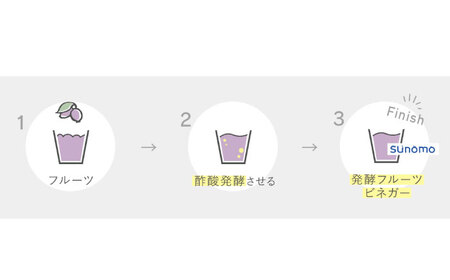 【つめかえ用 全6回定期便】飲むお酢 発酵ビネガー SUNOMO ナチュール ハスカップ 原液タイプ 375ml×1個【晴耕雨読】[AXCI012]