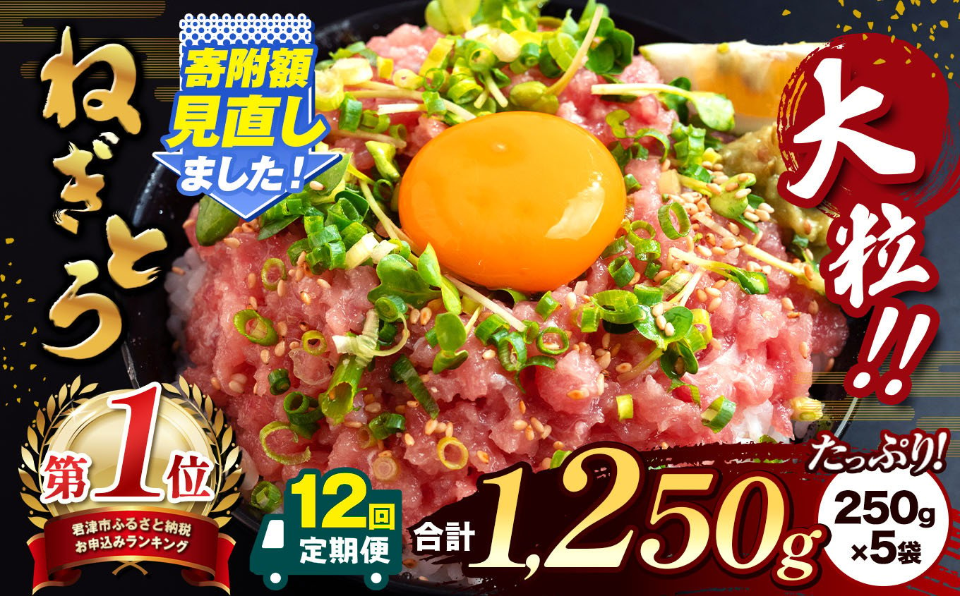 
            【定期便・12ヶ月】清幸丸水産 大人気！ねぎとろ（250g×5袋）1250g | ネギトロ とろ 鮪 海鮮 魚介 魚 人気 小分け 人気 定番 ご飯 オススメ 千葉県 君津市 きみつ
          