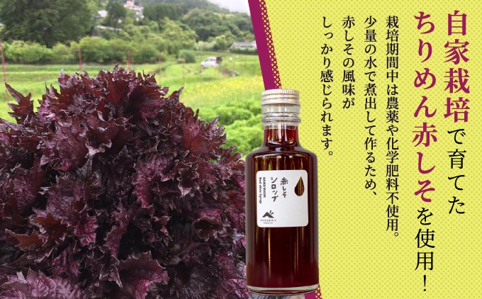 【能勢特産】しっかりとした赤しその風味とさわやかな酸味。 赤しそシロップ 3本セット | べじたぶるぱーく株式会社