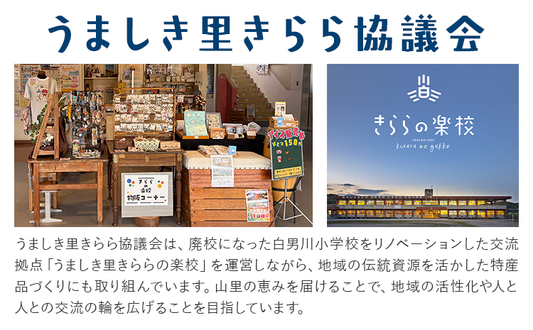 干ししいたけ詰め合わせ3種 計90g 30g×3種 スライス ベビー チップ うましき里きらら協議会 きららの楽校《11月上旬-6月末頃出荷》鹿児島県 さつま町 干ししいたけ 椎茸 しいたけ 詰め合わ