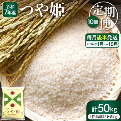 ふるさと納税 東根市 【2026年1月スタート】特別栽培米つや姫5kg×10回(毎月 後半発送)定期便 hi053-033