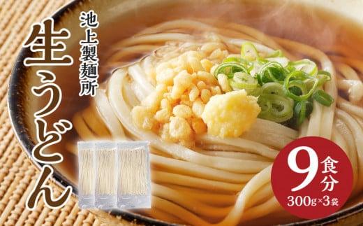 本家　池上製麺所　生うどん9食（麺のみ）