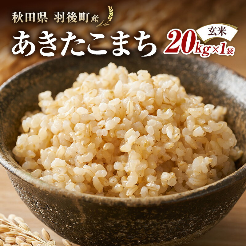 【ふるさと納税】秋田県 羽後町産 あきたこまち 玄米 20kg×1袋 【 米 お米 アキタコマチ 美味しい 秋田 羽後 】
