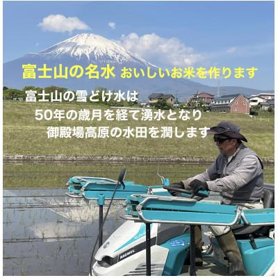ふるさと納税 御殿場市 ピロール米御殿場こしひかり　5kg(精米) |  | 02