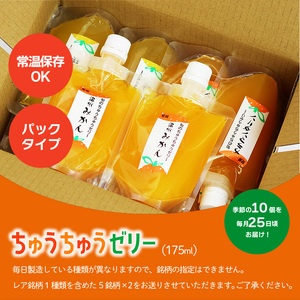 【定期便3回】 旬のちゅうちゅうゼリー 定期便 10個 | ゼリー ゼリー ゼリー ゼリー ゼリー【OF012】