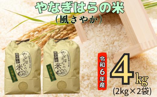 【令和6年産】「やなぎはらの米　風さやか」4㎏ (6-41A)