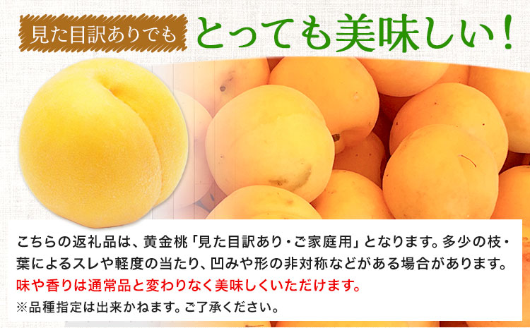 【令和7年度先行予約】桃 黄金桃 ご家庭用 1.4kg (4～6玉) フルーツファーム岡山《2025年8月中旬-9月下旬頃出荷》岡山県 浅口市 送料無料 フルーツ モモ 果物 青果 旬 国産 岡山県産