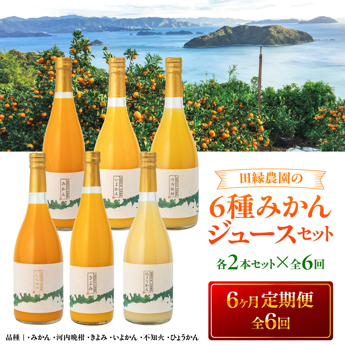 【ふるさと納税】【6ヶ月定期便】田縁農園 6種みかんジュースセット 各2本セット×全6回 みかん いよかん 河内晩柑 不知火 きよみ ひょうかん【人気 みかんジュース オレンジジュース 温州みかん 伊予柑 河内晩柑 不知火 清見 ひょうかん 贈り物 愛媛県 伊方町】 IKTA051