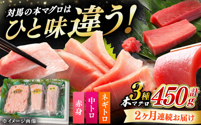 【全2回定期便】対馬産 本マグロ 3種 計450g（赤身/中トロ/ネギトロ）《対馬市》【対海】 新鮮 マグロ 鮪 本鮪 赤身 中トロ ねぎとろ 海鮮 冷凍 [WAH032]
