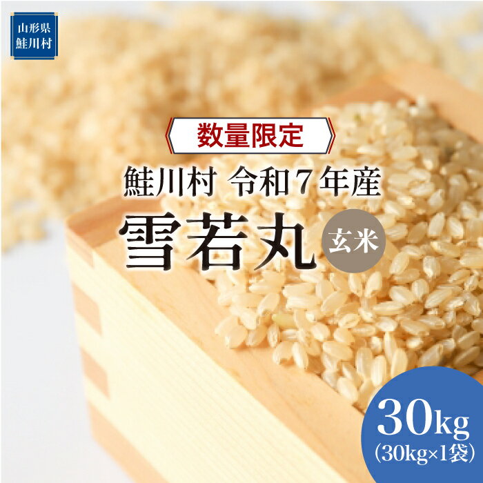 【ふるさと納税】数量限定！＜令和7年産米＞ 鮭川村 雪若丸 【玄米】 30kg （30kg×1袋）