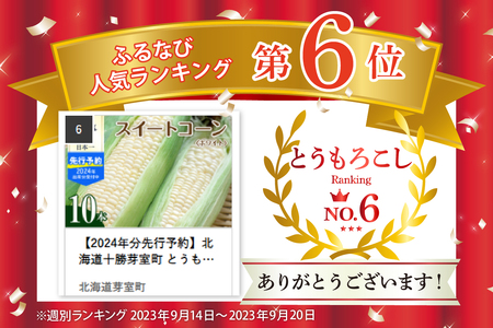 とうもろこし 10本 ホワイト種 とうもろこし 北海道 芽室町