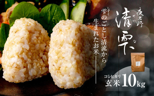 ＜令和7年産＞ 京都夜久野産 清雫(せいな) コシヒカリ 玄米 (10kg) 【fc-DB005-C】【合同会社夜久野清雫】