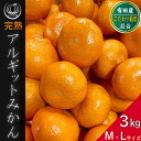 【ふるさと納税】完熟 アルギット みかん 3kg M ～ L サイズ | 年内発送 可 先行予約 みかん 有田みかん 甘い おいしい ジューシー 皮 薄い 完熟 期間限定 フルーツ 果物 人気 おすすめ 高級 こだわり ギフト 旬 お取り寄せ 送料無料 和歌山
