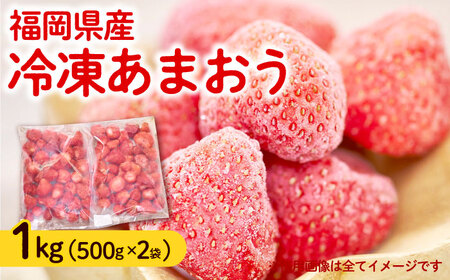 【4月以降発送】福岡産 冷凍あまおう 1kg （500g×2袋） 果物 苺 いちご あまおう[ABET001]