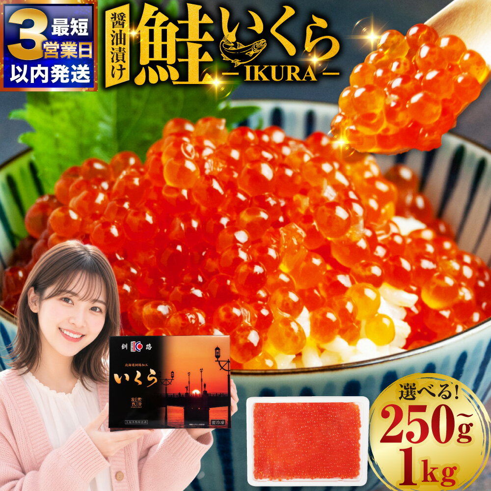 【ふるさと納税】最短3営業日以内発送 新物 いくら 醤油漬け 容量 が選べる 250g 500g 750g 1kg （釧路加工）北海道 ふるさと納税 いくら いくら醤油漬け イクラ 丼 魚介類 海鮮 魚卵 F4F-5242var