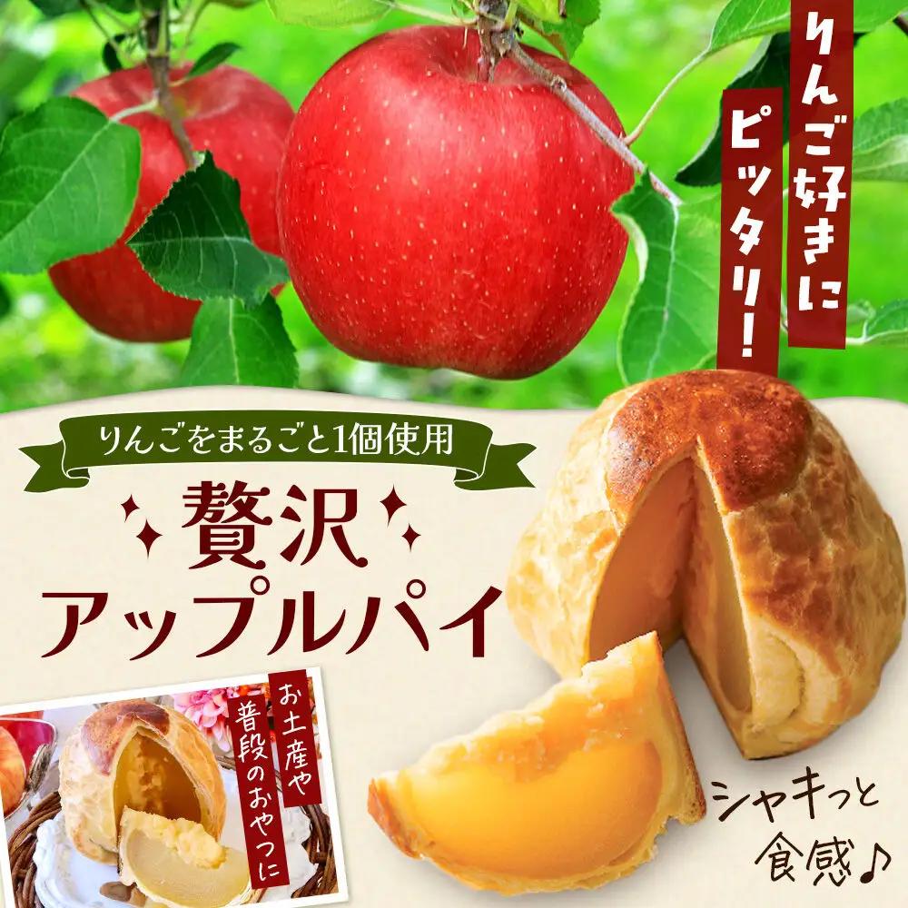 アップルパイ 気になるリンゴ 3個入 ラグノオささき