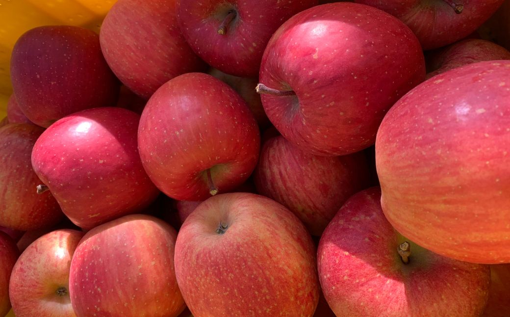 ＜11月下旬頃よりお届け＞北海道壮瞥産りんご サンふじ 約5kg(14〜20玉)【ご家庭用】 SBTK015