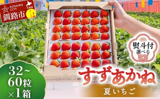 
                  ＼選べる熨斗ありorなし／2026年先行予約 北海道産いちご すずあかね 32～60粒×1箱 【2026年6月末から順次発送】 夏いちご イチゴ 苺 フルーツ 果物 ジャム スイーツ 贈答用 ギフト 国産 北海道 釧路市 F5F-0095var
                