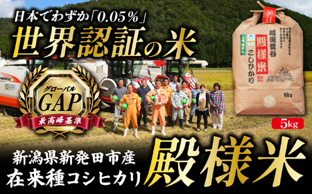 コシヒカリ 玄米 精米 特別 栽培 特別栽培米 新潟県産 越後菅谷殿様米 5㎏ 令和7年産  新潟県産 新発田産 米 5kg 越後菅谷 殿様米 コシヒカリ D05_04 