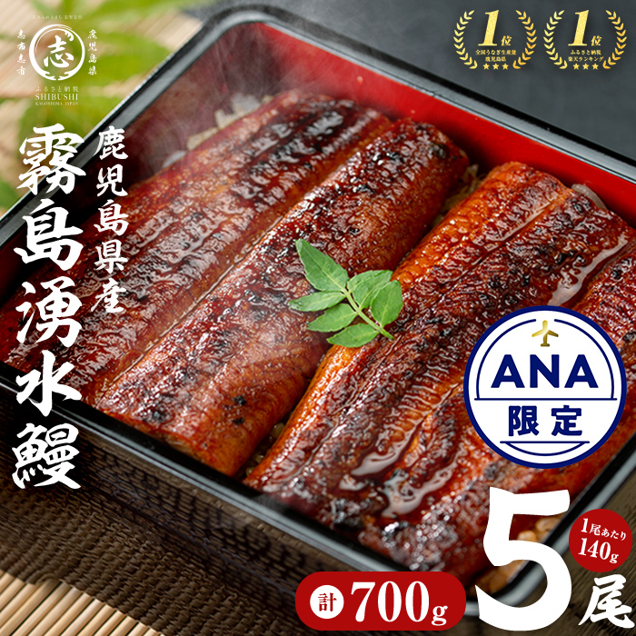 【ANAにキュン限定】【7年連続 ランキング 1位】【5尾700g 18,000円！】鹿児島県産 霧島湧水鰻 140g以上×5尾 国産 蒲焼き ウナギ 5尾 九州産 かばやき 冷凍 うな重 ひつまぶし