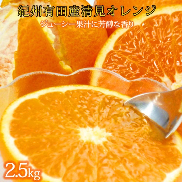 とにかくジューシー清見オレンジ　2.5kg<br>※2026年3月下旬頃〜2026年4月中旬頃に順次発送予定