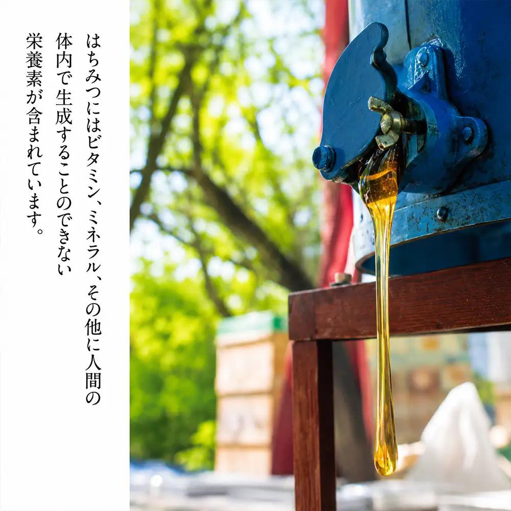 国産 非加熱はちみつ そば（600g×1本）｜ 純粋 天然 稀少 長期保存 「大西養蜂場」