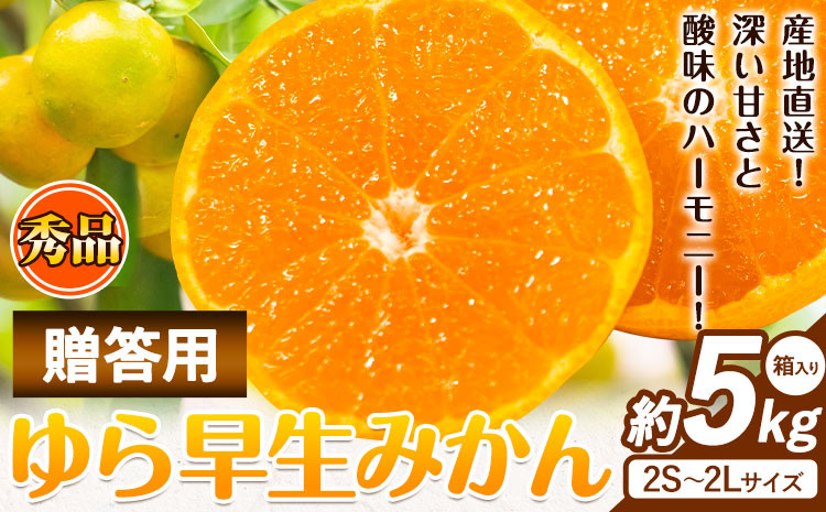 
                  【先行予約】秀品 贈答用 ゆら 早生みかん 約 5kg (2S～2Lサイズ) 笑いの里のTommyファーム《10月中旬-11月末頃出荷》和歌山県 日高川町 みかん 早生 贈答用 旬 柑橘 フルーツ 果物 ミカン 柑 産地直送 箱入り ギフト
                