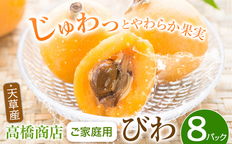 天草産 びわ 8パック 家庭用 高橋商店《5月中旬‐6月中旬出荷》フルーツ びわ 果物---10000006---