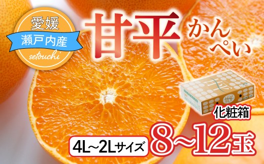 【先行受付】甘平 かんぺい 秀4L～2Lサイズ 8～12玉 化粧箱 2027年1月中旬から順次発送 | みかん ミカン 柑橘 かんきつ オレンジ 甘平みかん かんぺい 甘平 愛媛みかん 愛媛 みかん 果物 国産フルーツ 甘い 果物 JA 越智今治 おちいまばり 愛媛ミカン 愛媛県 上島町