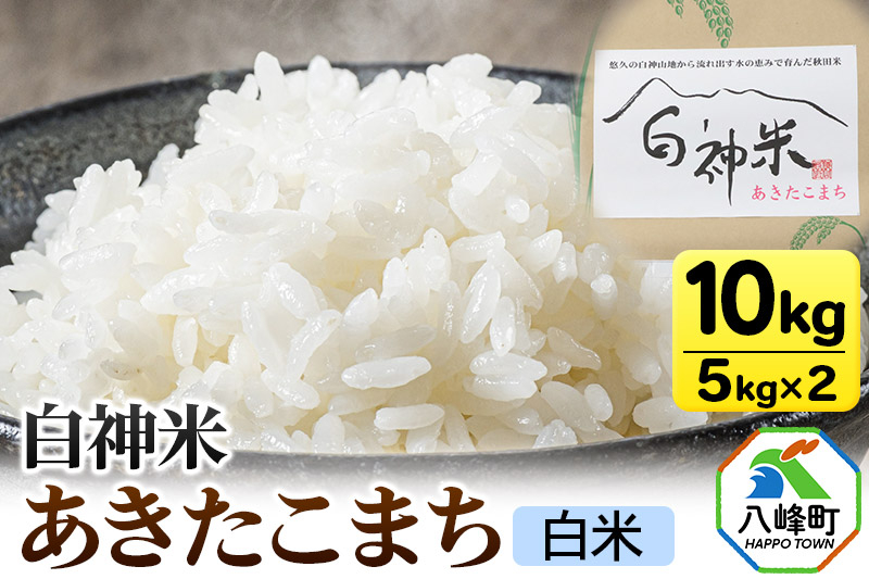 
            白神米 あきたこまち 秋田県産 10kg【白米】令和6年産
          