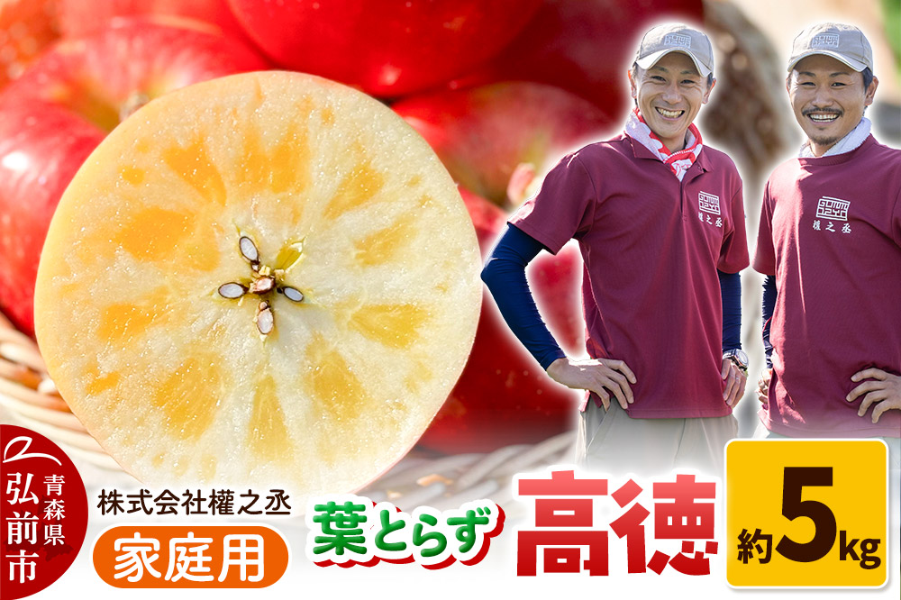 【25年11月出荷】りんご 權之丞 葉とらずりんご 高徳 （こうとく） 家庭用 約5kg【弘前市産・青森りんご】