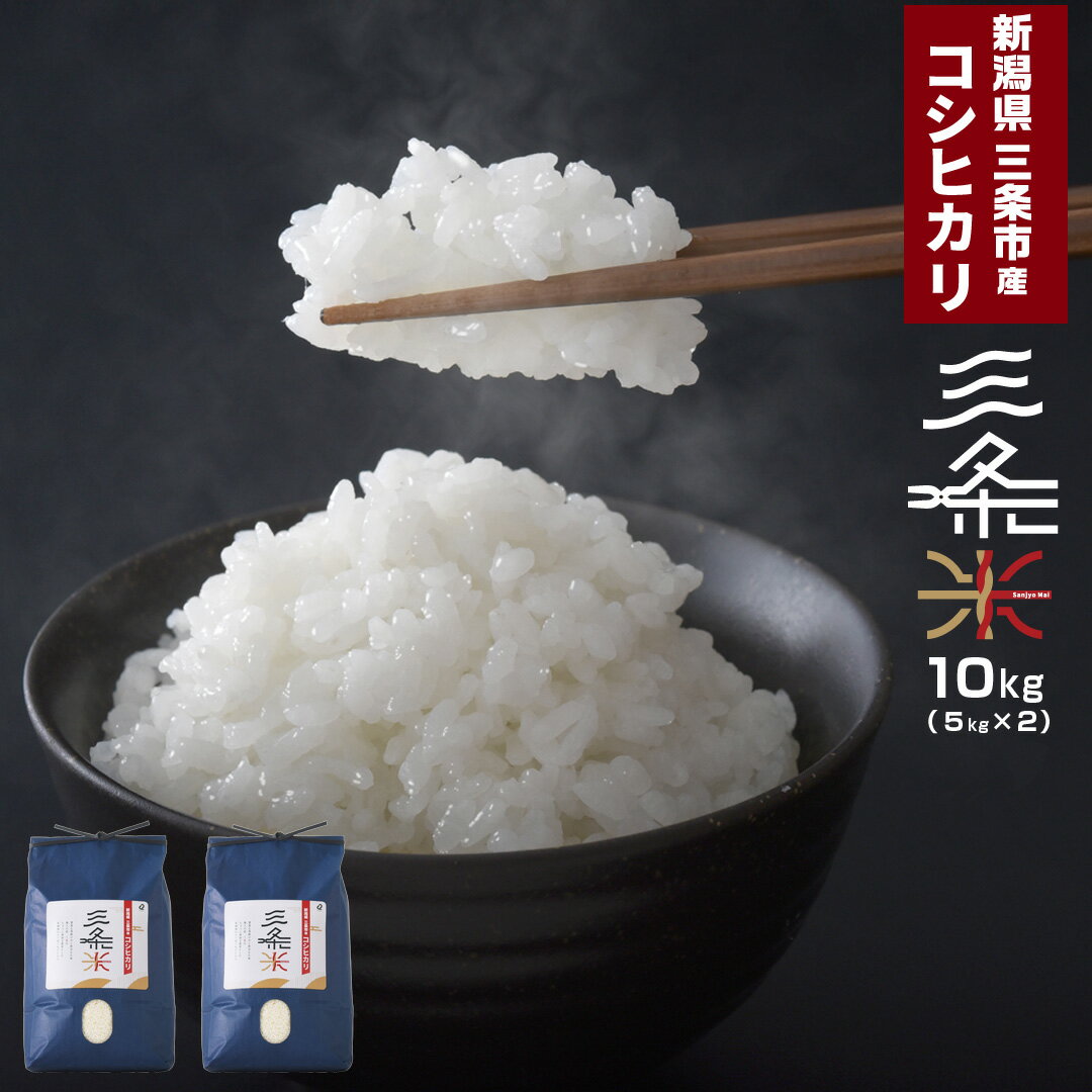 【ふるさと納税】新潟県三条市産 コシヒカリ 三条米 10kg 令和7年産 コシヒカリ 美味しいこしひかり 直前精米 アーネスト 【016S035】