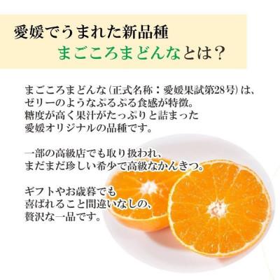 ふるさと納税 八幡浜市 【2週間毎定期便】まどんな3.5kg(訳)×まどんな2.5kg(秀)【G25-264】全2回 |  | 02