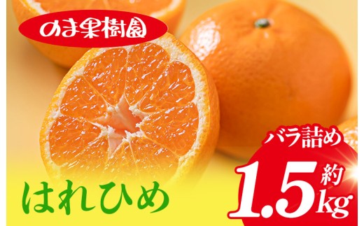 【先行予約】はれひめ（1.5kg）[K003690K1] 人気商品 国産 高級フルーツ 人気商品 みかん 柑橘 フルーツ 果物 乃万青果 のま果樹園 はれひめ