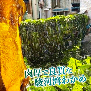 わかめ 駿河湾 束 わかめ 400g 200g×2袋 海藻 海産物 海鮮 魚介 ワカメ 若布 味噌汁 スープ 鍋 サラダ 刺身 酢のもの 家庭用 ギフト プレゼント 贈答  八木康 静岡県 牧之原市 
